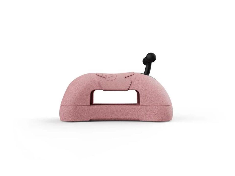 Scoot And Ride My First - Bebek Yürüteç Rose