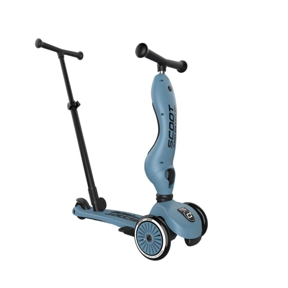 Scoot and Ride Push and Go Ebeveyn Kontrollü Çocuk Scooter Steel