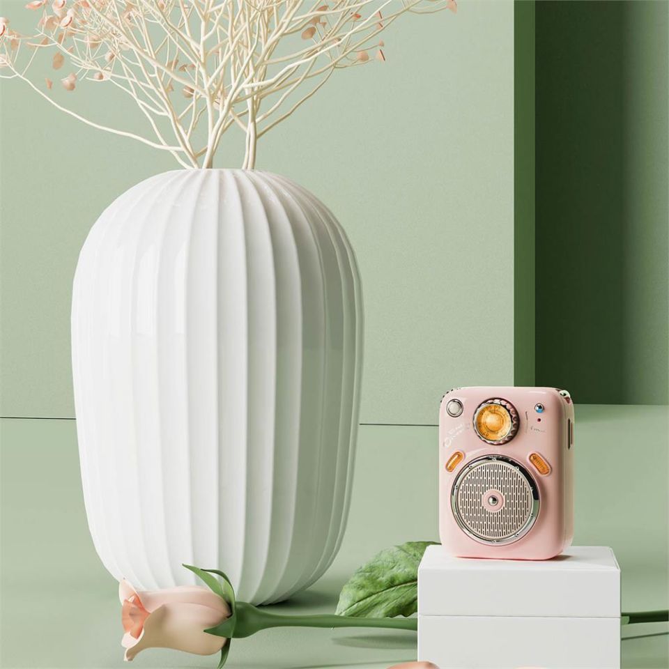 Divoom Beetles Fm Radyolu Taşınabilir Mini Bluetooth Hoparlör Pembe
