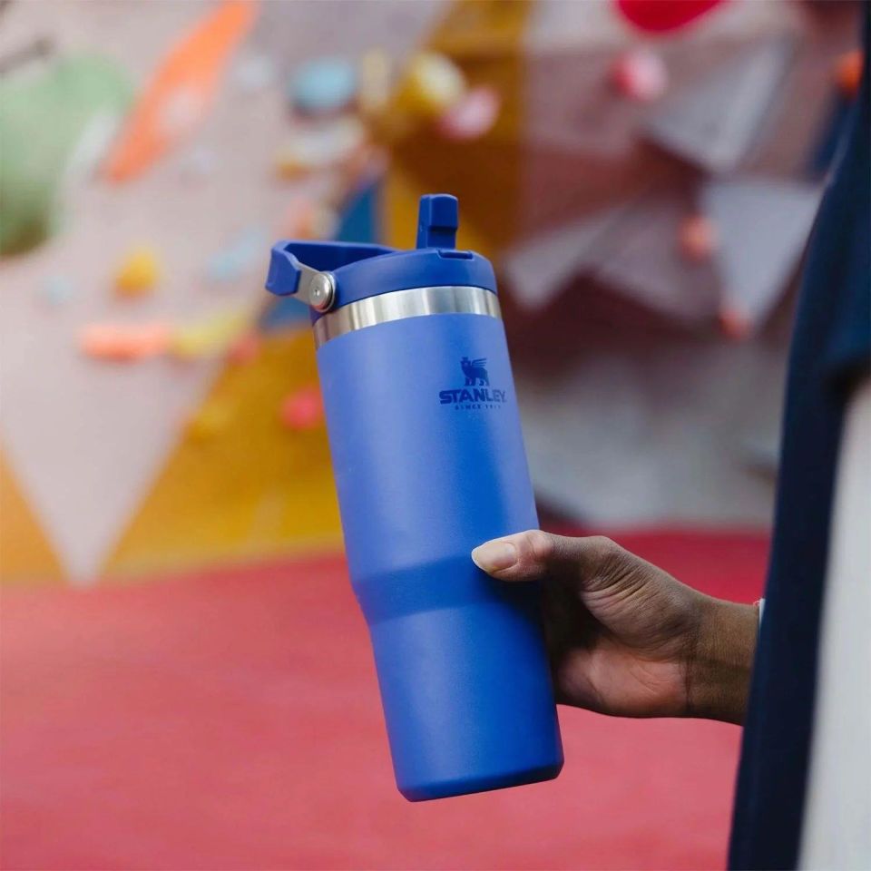 Stanley The Iceflow Flip Straw Pipetli Termos Bardak 0.89 L Lacivert