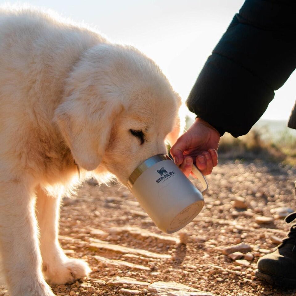 Stanley 0.35 LT Legendary Camp Mug Termos Bardak Açık Gri