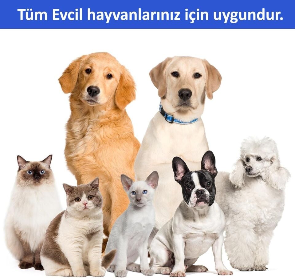 Neakasa P1 Pro Akıllı Köpek Tıraş Makinesi HN0070W