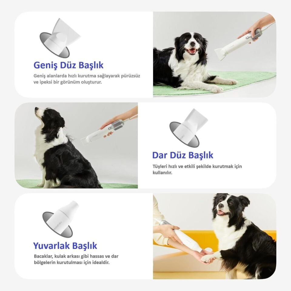 Neakasa Evcil Hayvan Kurutma Makinesi F1