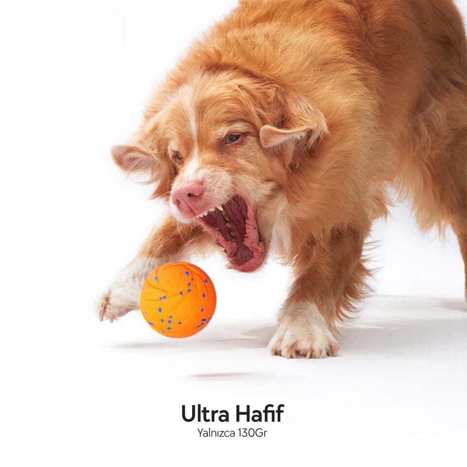 Cheerble Akıllı İnteraktif Köpek Oyuncağı 7 x 7 x 7cm  CWQ01 Turuncu