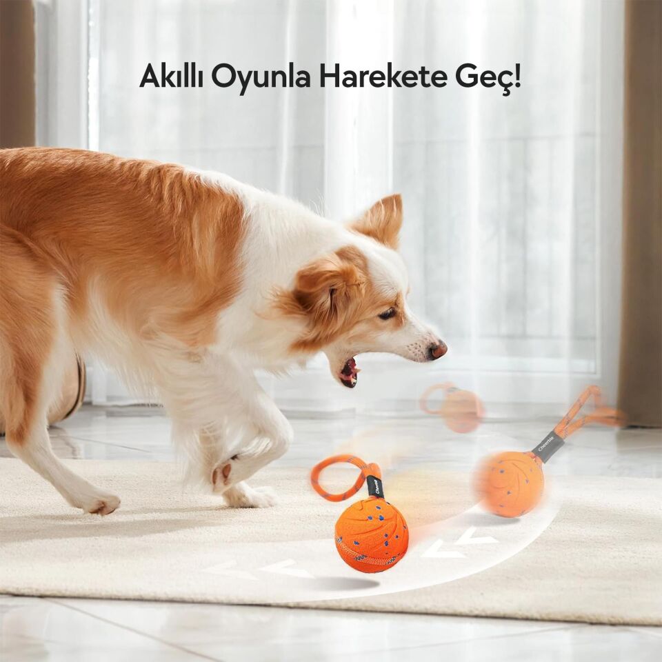 Cheerble Akıllı İnteraktif Köpek Oyuncağı İpli 7 x 7 x 7cm CWQ03 Turuncu