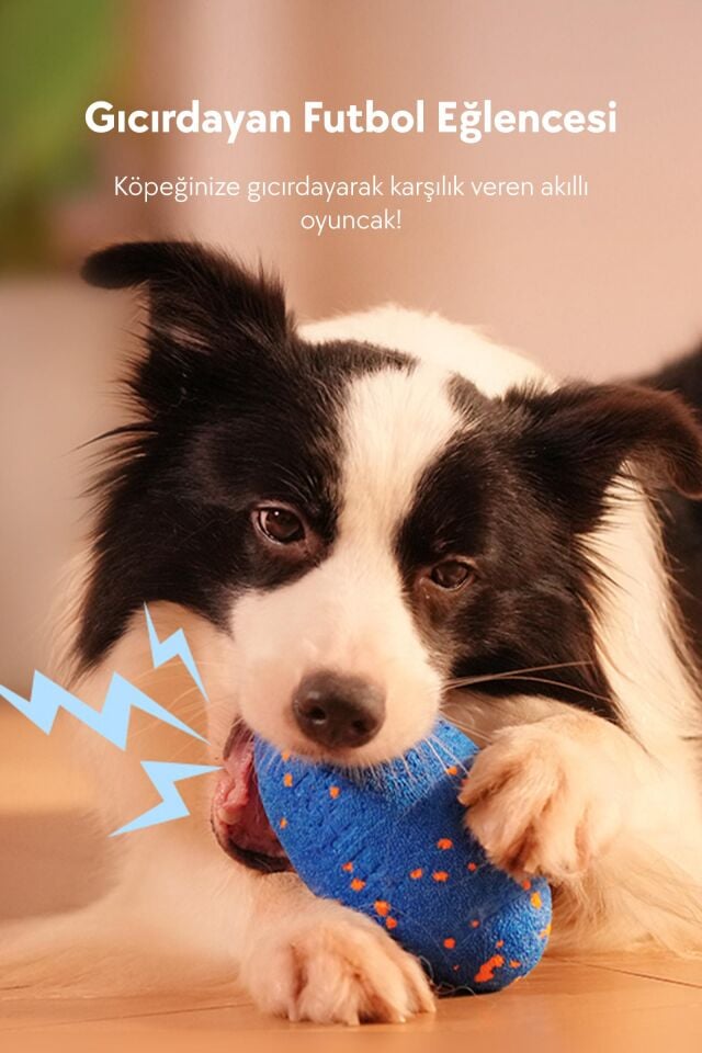 Cheerble Wicked Rugby Şarjlı Hareketli Köpek Oyuncak Topu CWQ06 Mavi