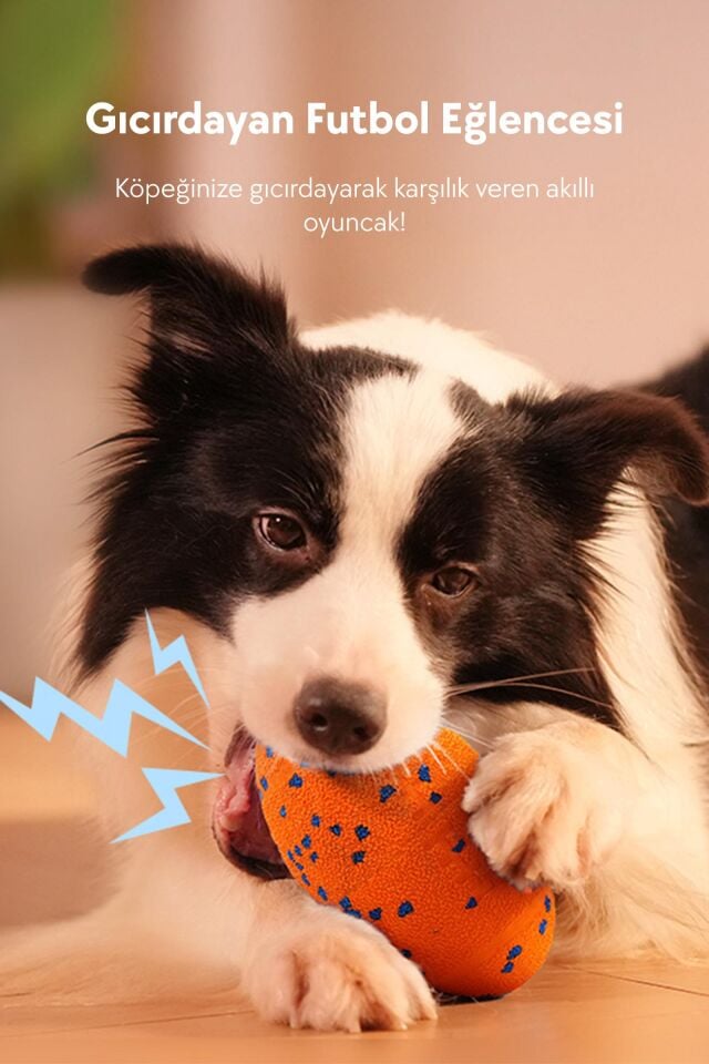 Cheerble Wicked Rugby Şarjlı Hareketli Köpek Oyuncak Topu CWQ06 Turuncu