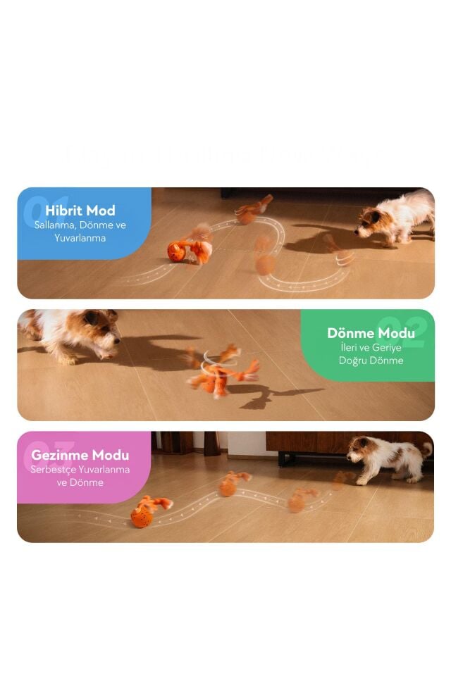 Cheerble Wicked Ball Rolly Şarjlı İnteraktif Köpek Oyuncak Topu CWQ07 Mavi