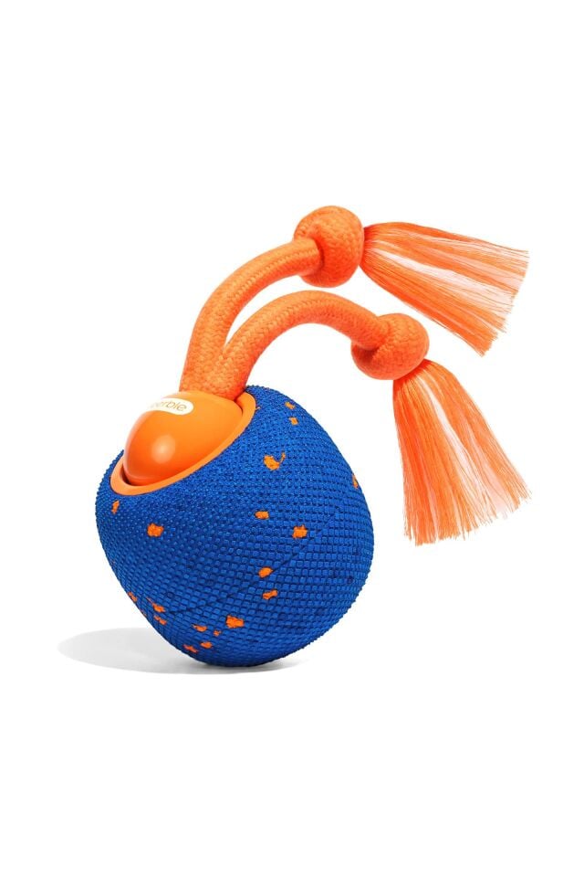 Cheerble Wicked Ball Rolly Şarjlı İnteraktif Köpek Oyuncak Topu CWQ07 Mavi