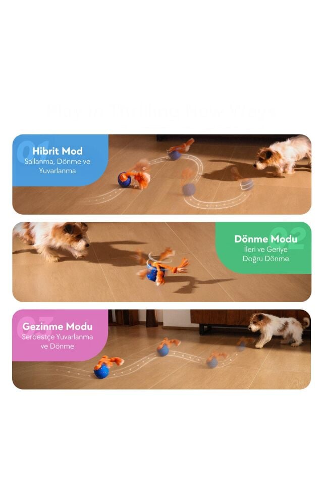 Cheerble Wicked Ball Rolly Şarjlı İnteraktif Köpek Oyuncak Topu CWQ07 Mavi