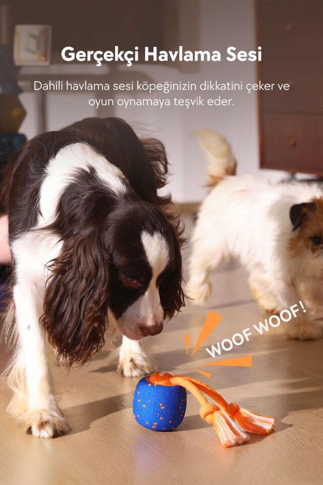 Cheerble Wicked Ball Rolly Şarjlı İnteraktif Köpek Oyuncak Topu CWQ07 Mavi
