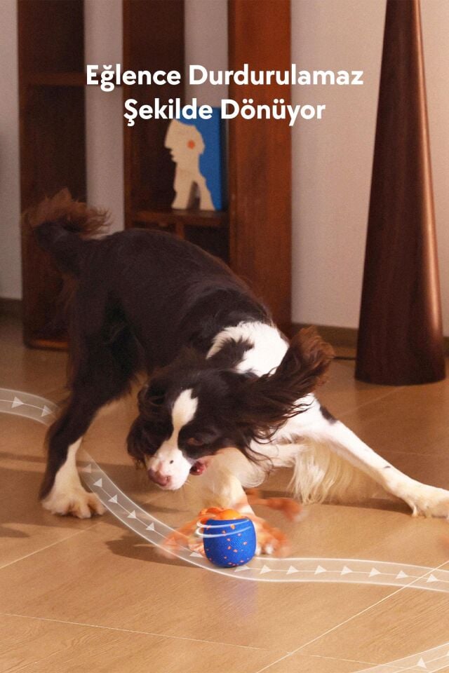 Cheerble Wicked Ball Rolly Şarjlı İnteraktif Köpek Oyuncak Topu CWQ07 Mavi