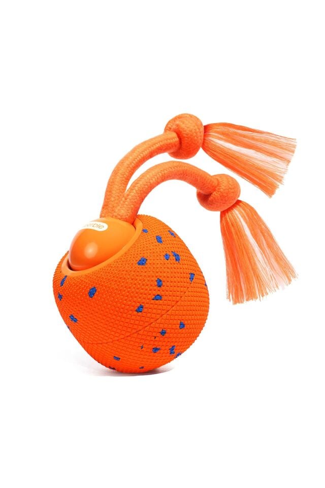 Cheerble Wicked Ball Rolly Şarjlı İnteraktif Köpek Oyuncak Topu CWQ07 Turuncu