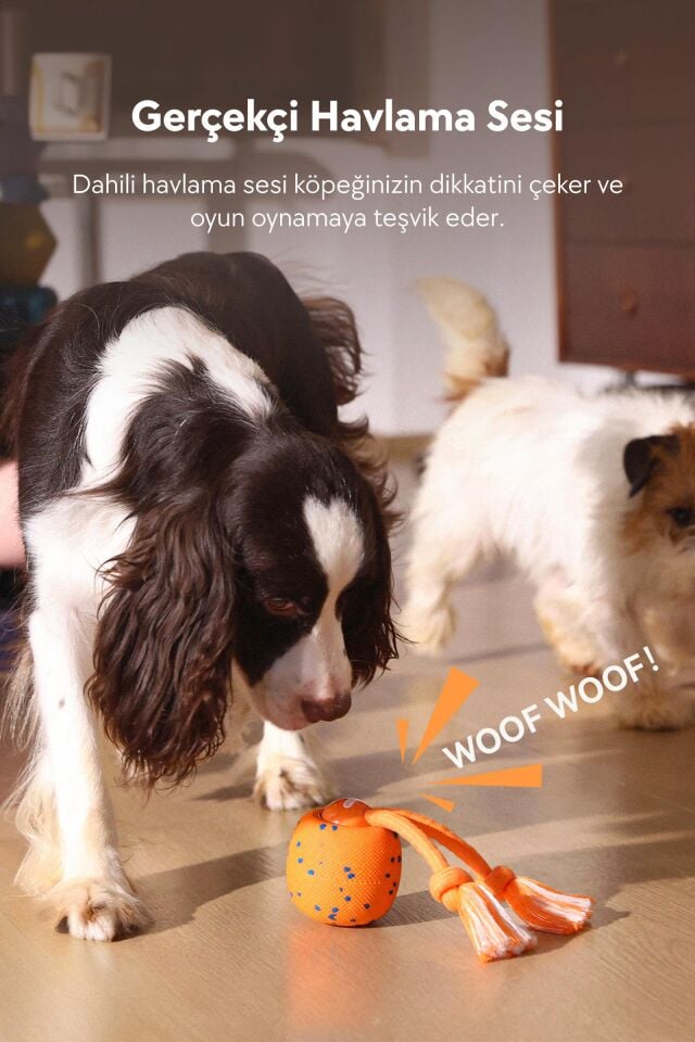 Cheerble Wicked Ball Rolly Şarjlı İnteraktif Köpek Oyuncak Topu CWQ07 Turuncu
