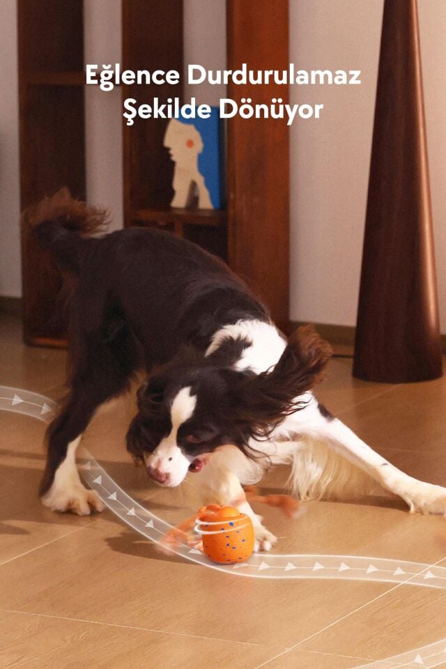 Cheerble Wicked Ball Rolly Şarjlı İnteraktif Köpek Oyuncak Topu CWQ07 Turuncu