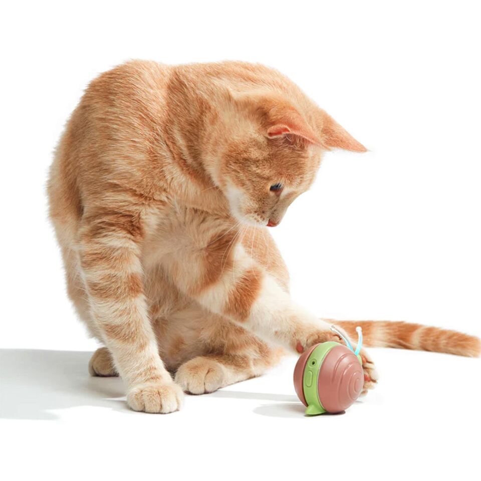 Cheerble Şarjlı Akıllı İneraktif Kedi Salyangoz Oyuncağı, Kahverengi 7 x 5 x 5.8 cm CWJ02