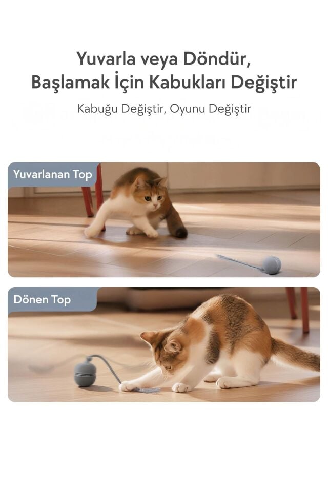 Cheerble Wicked Ball Duo2 İnteraktif Şarjlı Kedi Oyun Topu (2-in-1) CWJ04 Gri