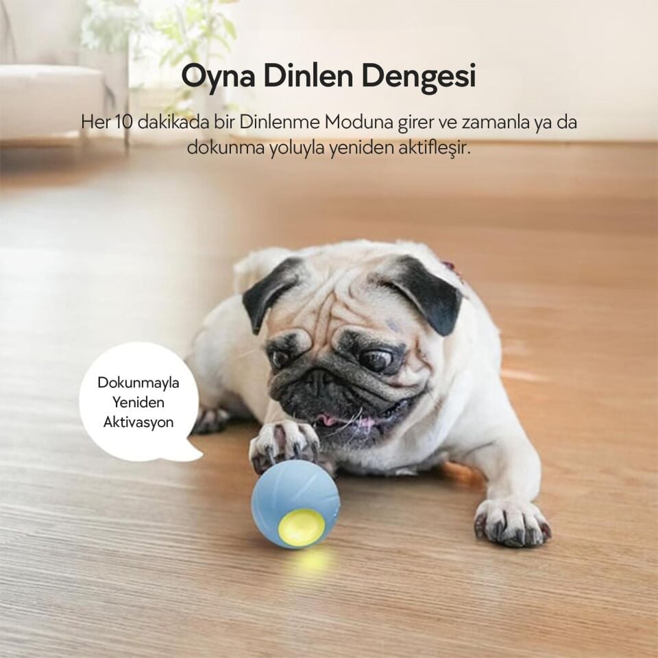 Cheerble Şarjlı Akıllı İneraktif Köpek Oyun Topu Small 5.5 cm C1221 Kırmızı