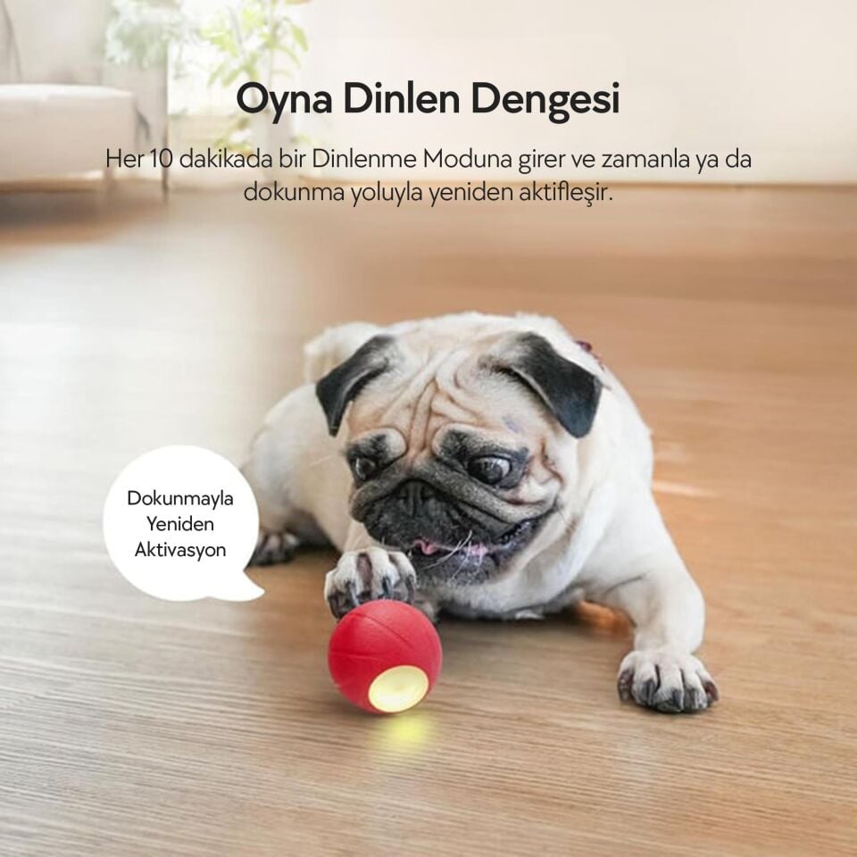 Cheerble Şarjlı Akıllı İneraktif Köpek Oyun Topu Small 5.5 cm C1221 Kırmızı