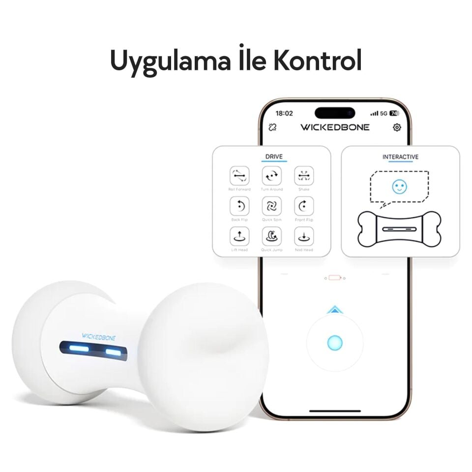 Cheerble Akıllı Kemik: Köpek,Yavru Köpek ve Kedi içinGüvenli ve Dayanıklı Otomatikİnteraktif Oyuncak 20 X 10 X 8 C1702