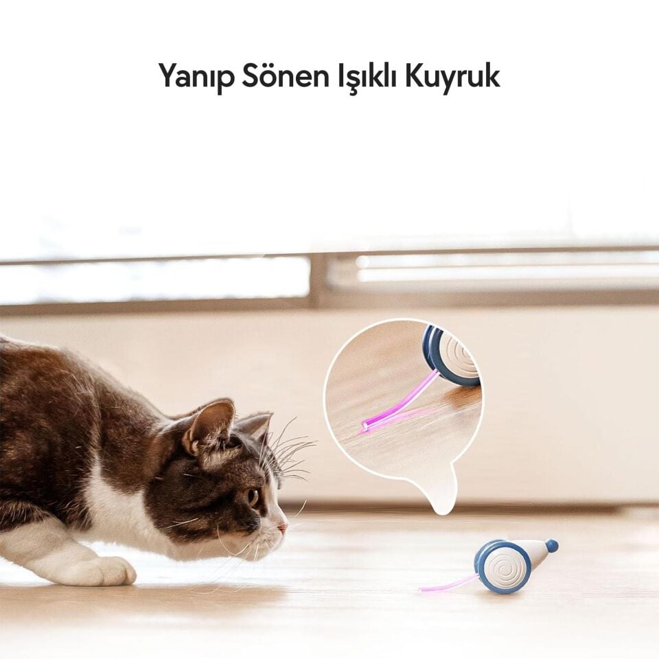 Cheerble Şarjlı Akıllı İneraktif Kedi Fare Oyuncağı 6 x 5 x 3.6 cm C0821 Mavi