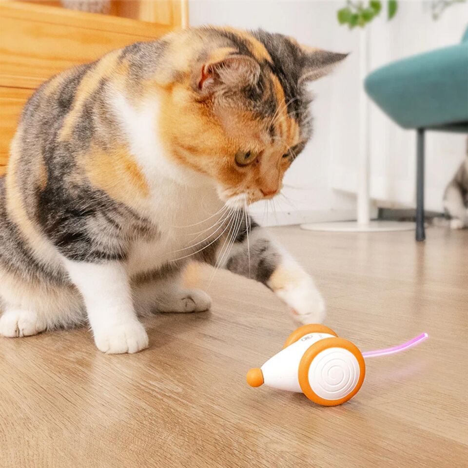 Cheerble Şarjlı Akıllı İneraktif Kedi Fare Oyuncağı 6 x 5 x 3.6 cm C0821 Turuncu