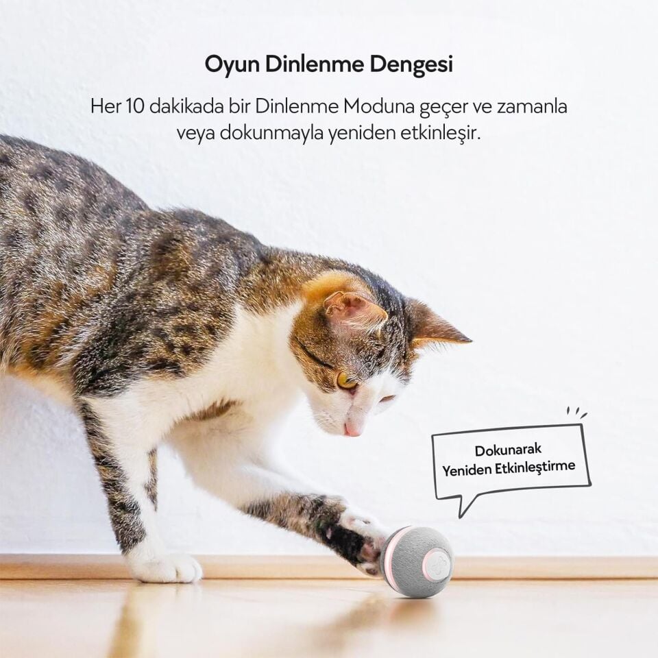 Cheerble Şarjlı Akıllı İneraktif Kedi Oyun Topu 4 cm C0419 Gri