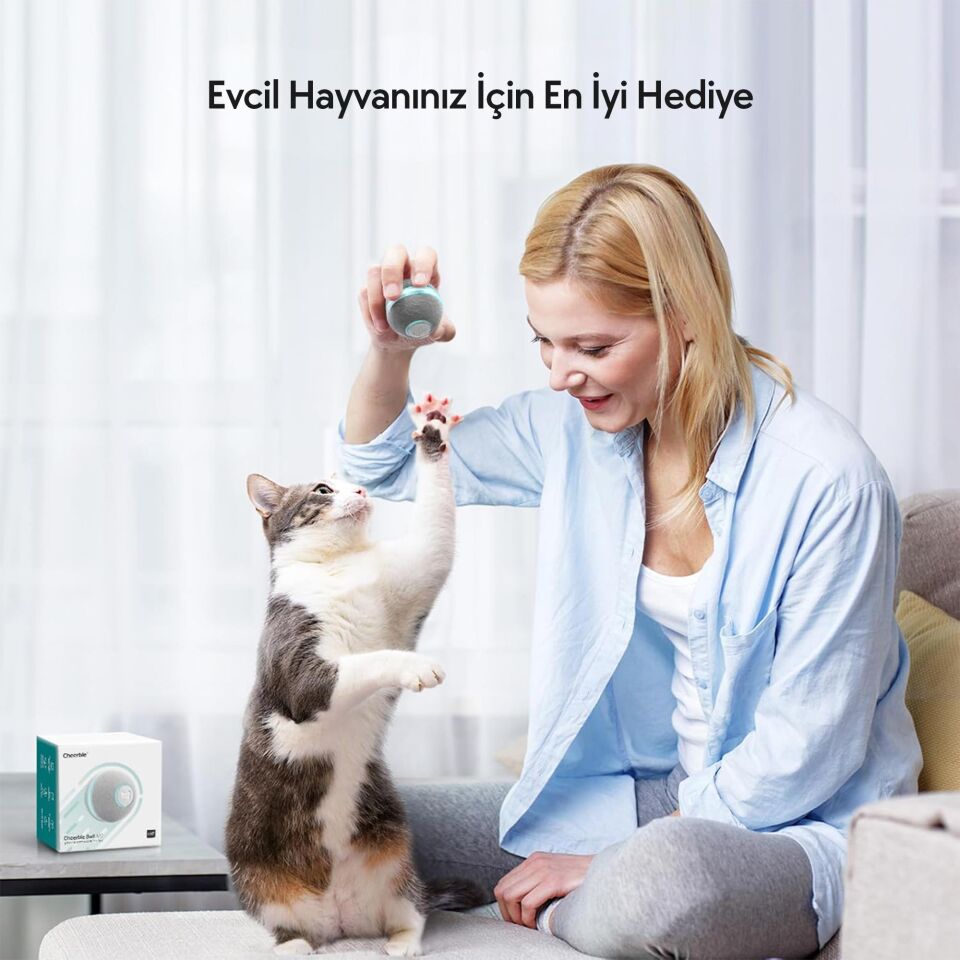 Cheerble Şarjlı Akıllı İneraktif Kedi Oyun Topu 4 cm C0419 Gri