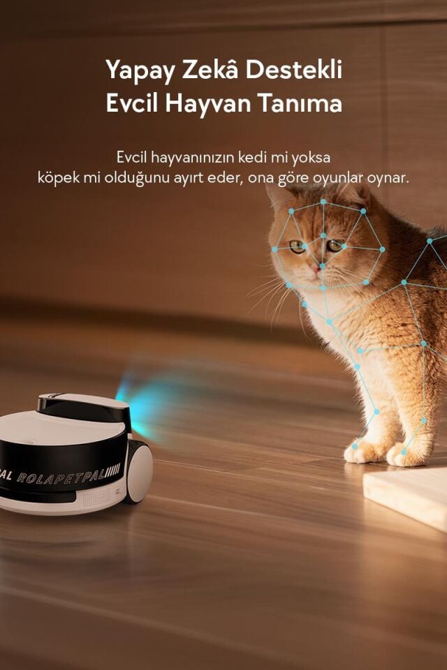 Enabot ROLA PetPal 2.5K Kameralı Evcil Hayvan Robotu R-PETPAL