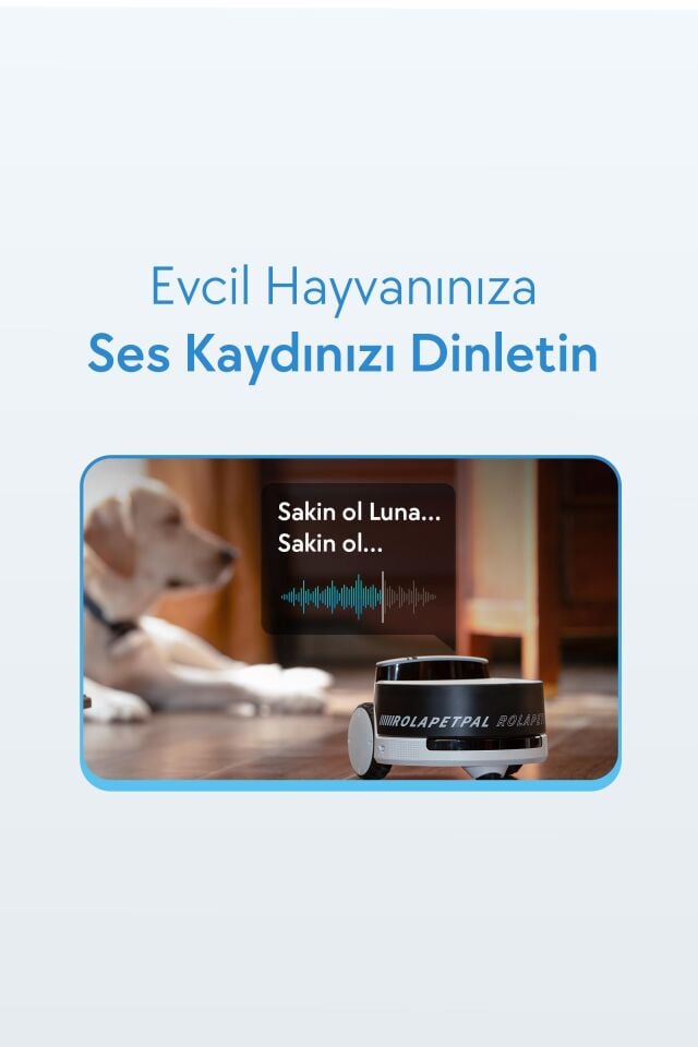 Enabot ROLA PetPal 2.5K Kameralı Evcil Hayvan Robotu R-PETPAL