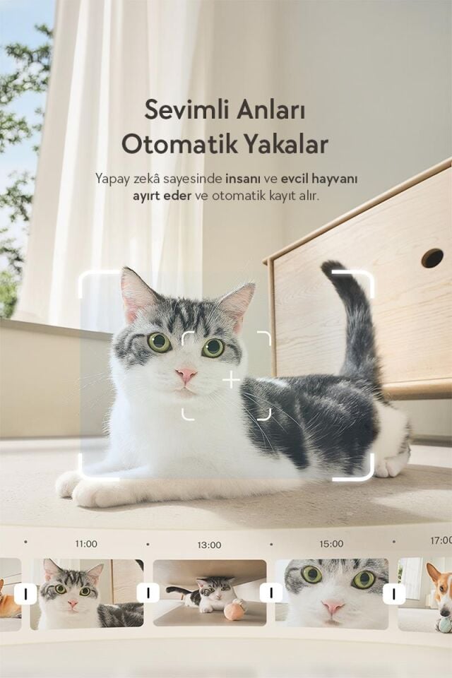 Enabot Rola Mini 2K Kameralı Evcil Hayvan Robotu R-MİNİ