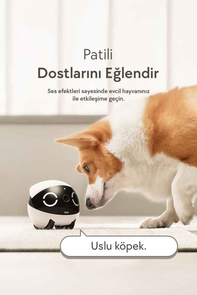 Enabot Rola Mini 2K Kameralı Evcil Hayvan Robotu R-MİNİ