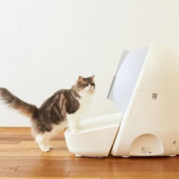 CATLINK Otomatik Kedi Tuvaleti Basamağı - Scooper Beyaz CL-LBPS-01