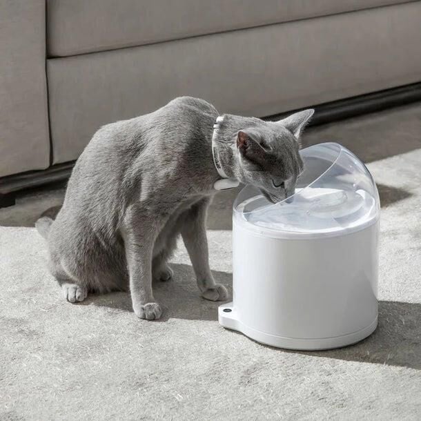 CATLINK Su Pınarı – Pure 2 UV, 2.6 Lt CL-WA-02