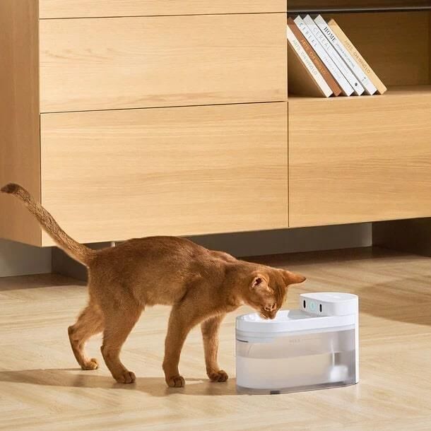 CATLINK Yapay Zekâlı Su Pınarı Kablosuz, 2.3 Lt CL-WB-01