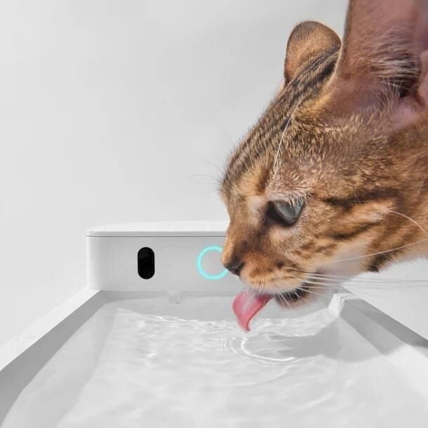 CATLINK Yapay Zekâlı Su Pınarı Kablosuz, 2.3 Lt CL-WB-01