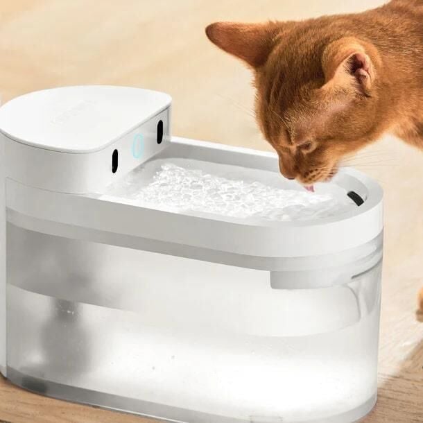 CATLINK Yapay Zekâlı Su Pınarı Kablosuz, 2.3 Lt CL-WB-01
