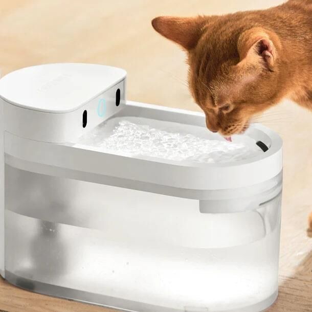 CATLINK Yapay Zekâlı Su Pınarı Kablosuz, 2.3 Lt CL-WB-01