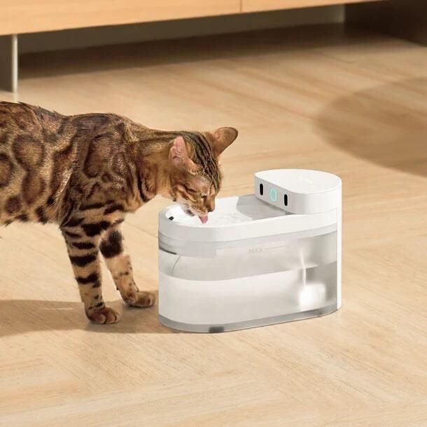 CATLINK Yapay Zekâlı Su Pınarı Kablosuz, 2.3 Lt CL-WB-01