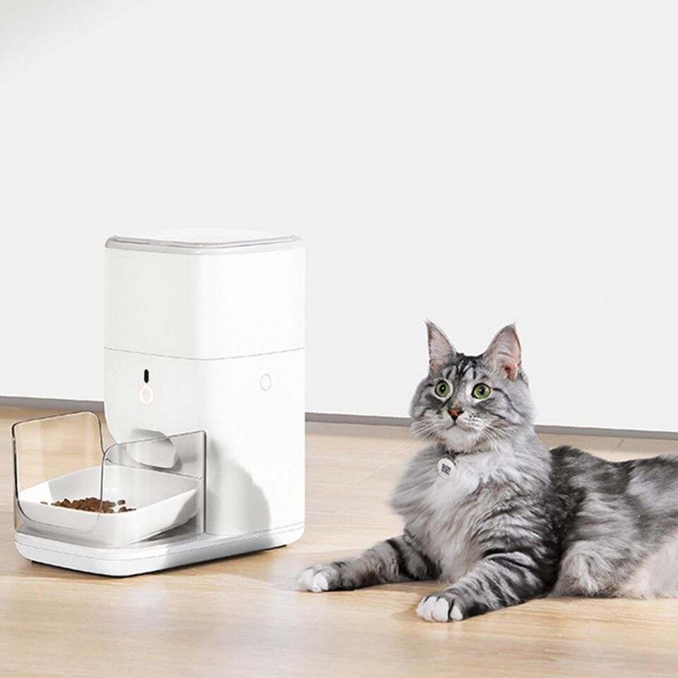 CATLINK Otomatik Mama Kabı 4 Lt PRO CL-FD-02