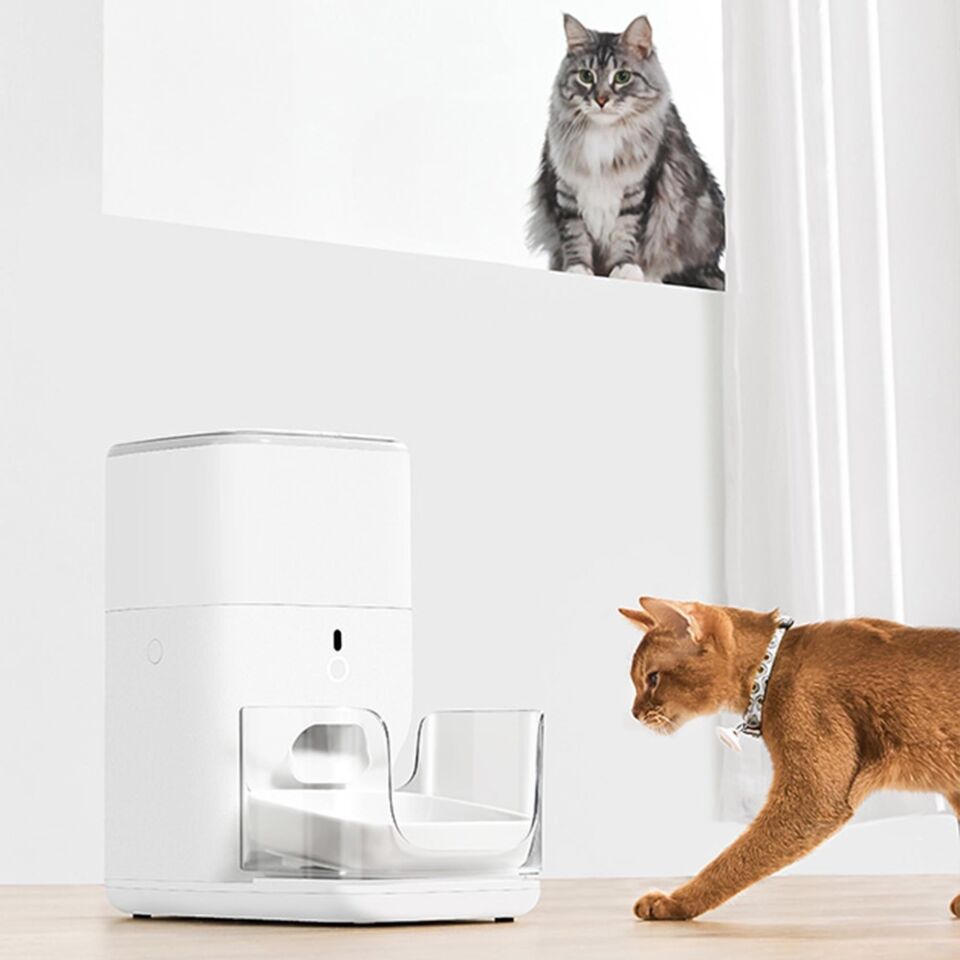 CATLINK Otomatik Mama Kabı 4 Lt PRO CL-FD-02