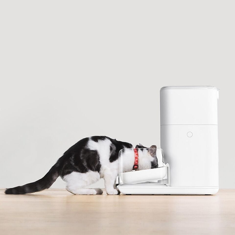 CATLINK Otomatik Mama Kabı 4 Lt PRO CL-FD-02