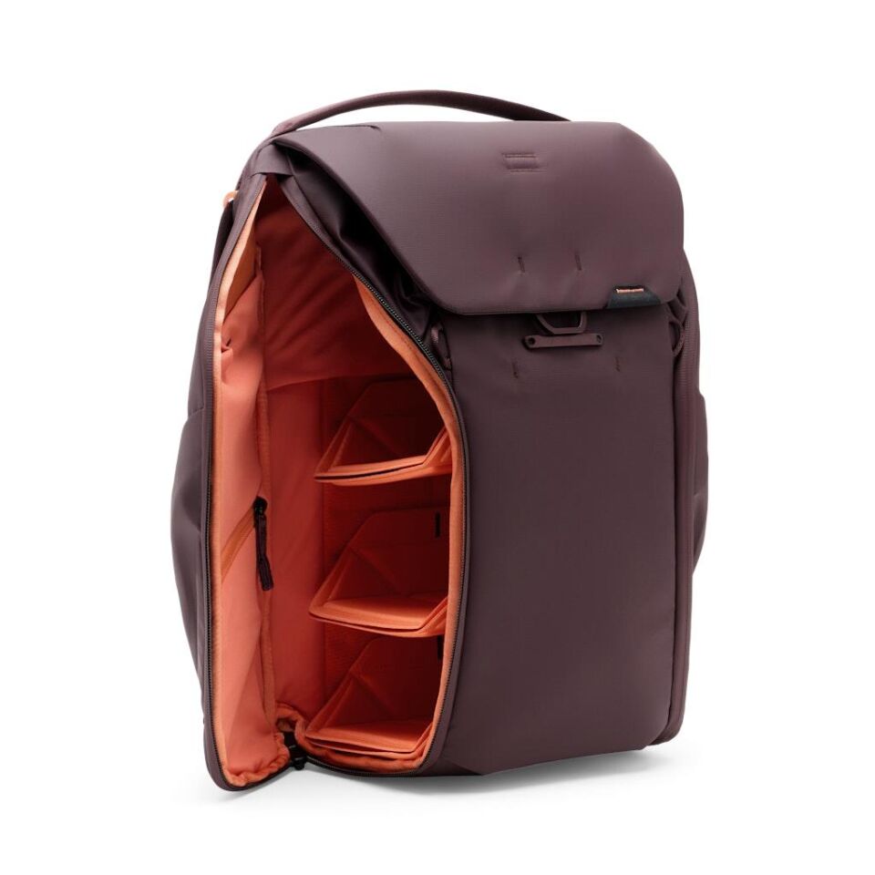 Everyday Backpack 20L Günlük Sırt Çantası - Eclipse