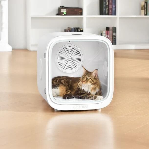 CATLINK Akıllı Evcil Hayvan Kurutucu CL-DA-02