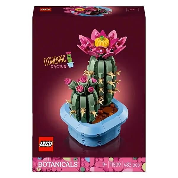 LEGO Botanicals Çiçekli Kaktüs 11509
