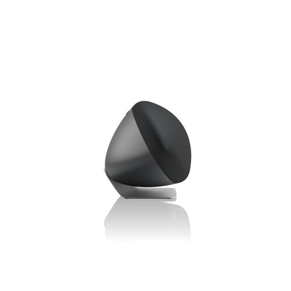 Bowers&Wilkins Zeppelin Pro Edition Bluetooth Hoparlör Uzay Grisi
