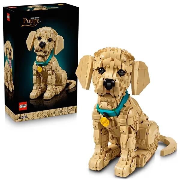 LEGO  Icons Yavru Golden Retriever 11384 2102 Parça