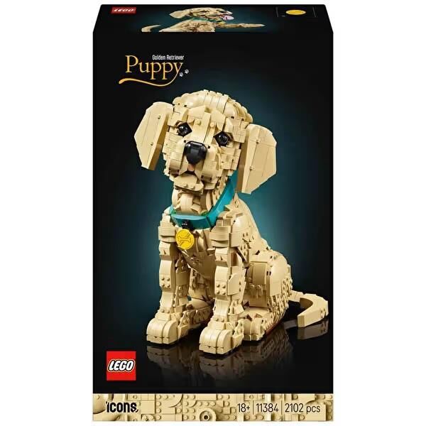 LEGO  Icons Yavru Golden Retriever 11384 2102 Parça