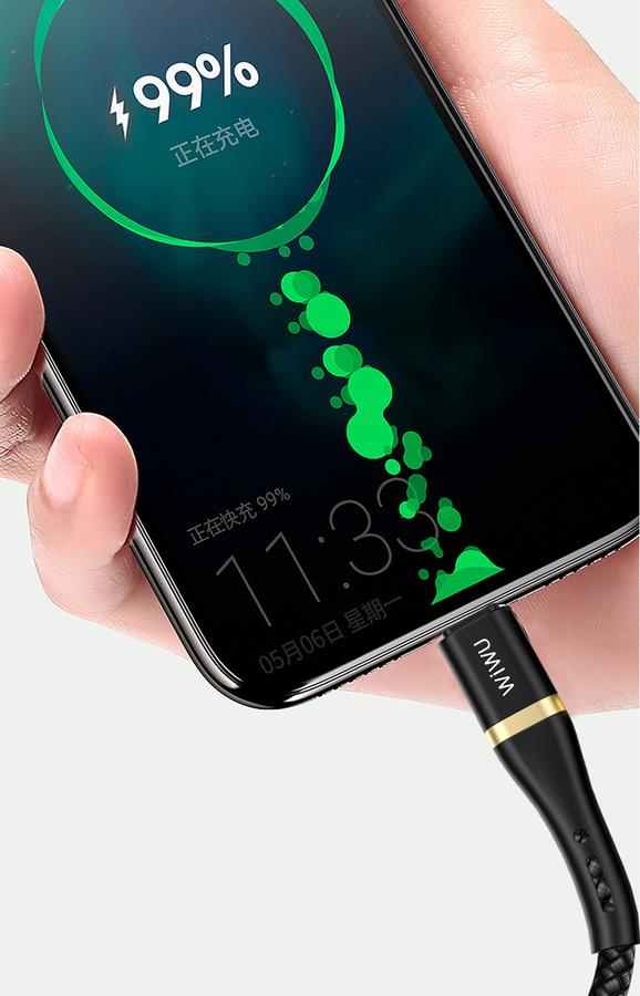 Wiwu Elite Micro 1 Metre Kablo